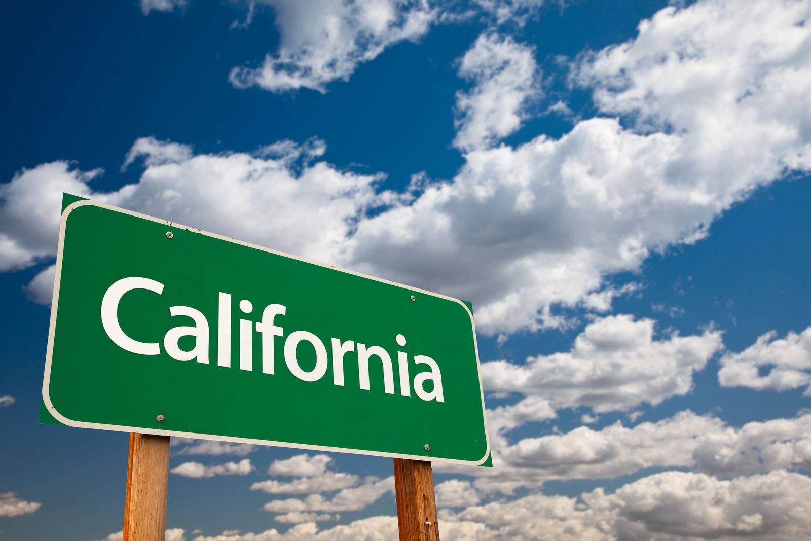 California Car Insurance Guide (Cheap Rates + Best Companies)