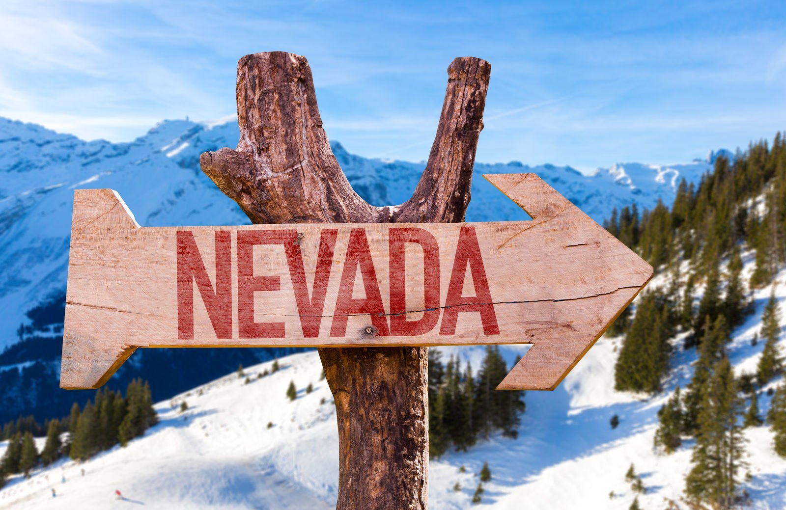 Nevada Car Insurance Guide (Cheap Rates + Best Companies)